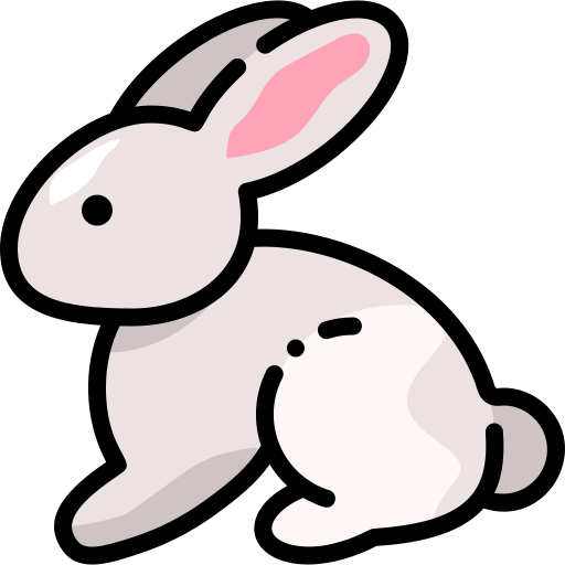 rabbit img